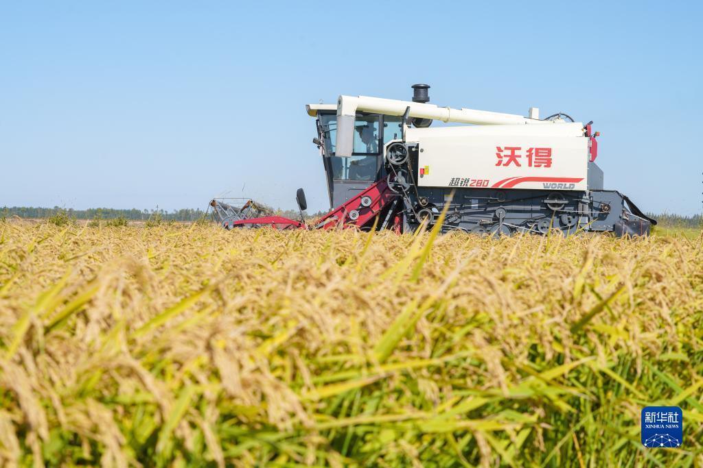 澳门威尼斯注册送25